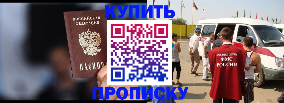 прописка поиск в Бабаево